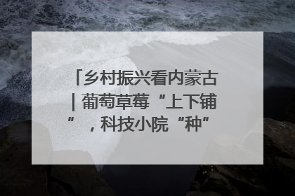 乡村振兴看内蒙古｜葡萄草莓“上下铺”，科技小院“种”出三倍效益
