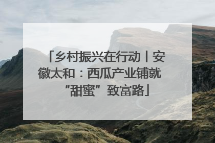 乡村振兴在行动丨安徽太和：西瓜产业铺就“甜蜜”致富路