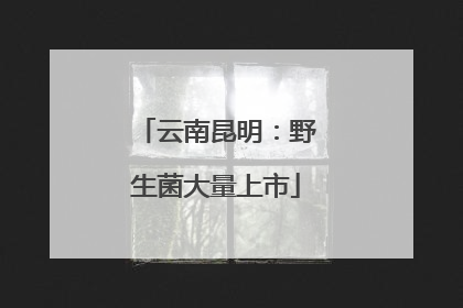 云南昆明：野生菌大量上市