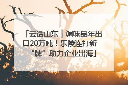云话山东｜调味品年出口20万吨！乐陵连打新“牌”助力企业出海