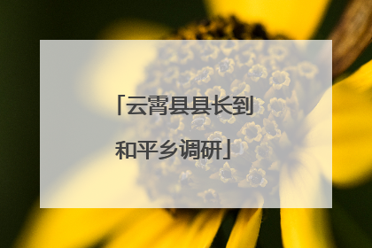云霄县县长到和平乡调研