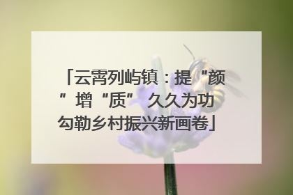 云霄列屿镇：提“颜”增“质” 久久为功勾勒乡村振兴新画卷