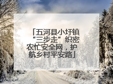 五河县小圩镇“三步走”织密农忙安全网，护航乡村平安路
