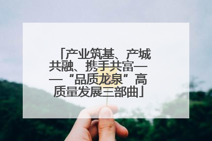产业筑基、产城共融、携手共富——“品质龙泉”高质量发展三部曲