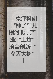 京津科研“种子”扎根河北，产业“土壤”培育创新“参天大树”