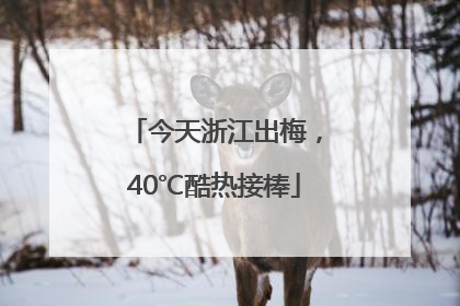 今天浙江出梅，40℃酷热接棒