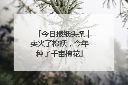 今日报纸头条｜卖火了棉袄，今年种了千亩棉花