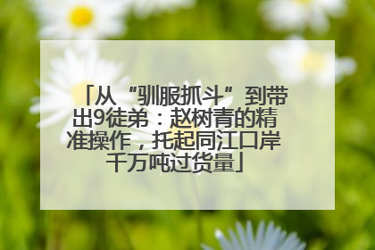 从“驯服抓斗”到带出9徒弟：赵树青的精准操作，托起同江口岸千万吨过货量