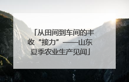 从田间到车间的丰收“接力”——山东夏季农业生产见闻