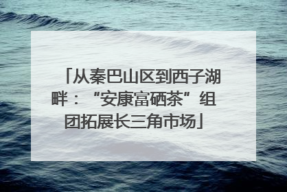 从秦巴山区到西子湖畔：“安康富硒茶”组团拓展长三角市场