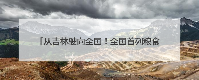 从吉林驶向全国！全国首列粮食多式联运“一单制”班列发车