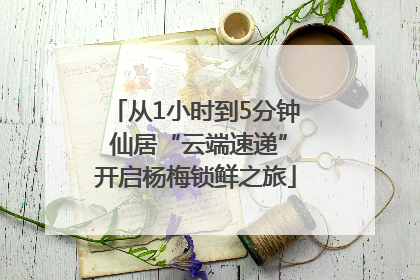 从1小时到5分钟 仙居“云端速递”开启杨梅锁鲜之旅