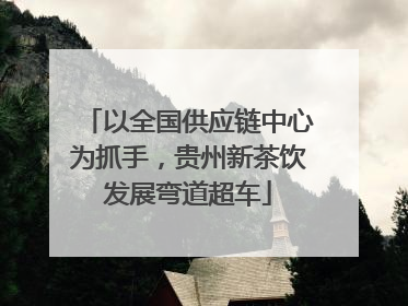 以全国供应链中心为抓手，贵州新茶饮发展弯道超车