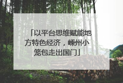 以平台思维赋能地方特色经济，嵊州小笼包走出国门