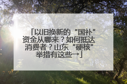 以旧换新的“国补”资金从哪来？如何抵达消费者？山东“硬核”举措有这些→