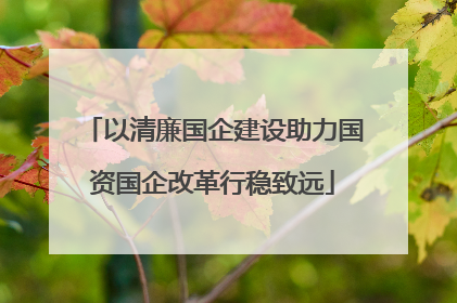 以清廉国企建设助力国资国企改革行稳致远
