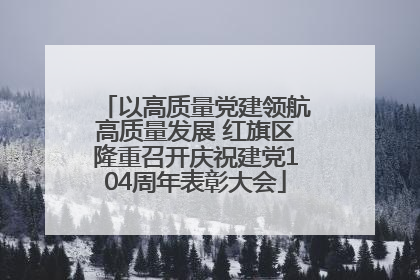以高质量党建领航高质量发展 红旗区隆重召开庆祝建党104周年表彰大会