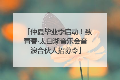 仲夏毕业季启动！致青春·太白湖音乐会音浪合伙人招募令