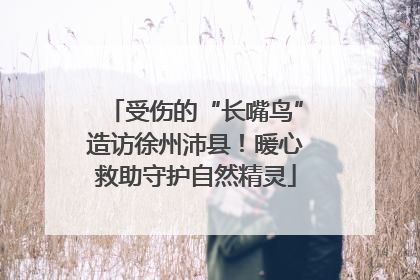 受伤的“长嘴鸟”造访徐州沛县！暖心救助守护自然精灵