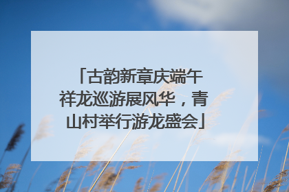 古韵新章庆端午 祥龙巡游展风华，青山村举行游龙盛会