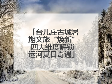 台儿庄古城暑期文旅“焕新” 四大维度解锁运河夏日奇遇