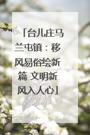 台儿庄马兰屯镇：移风易俗绘新篇 文明新风入人心