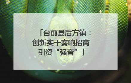 台前县后方镇：创新实干奏响招商引资“强音”