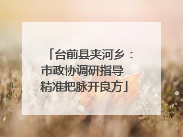 台前县夹河乡：市政协调研指导 精准把脉开良方
