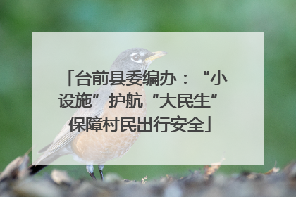 台前县委编办：“小设施”护航“大民生” 保障村民出行安全