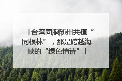 台湾同胞随州共植“同根林”，那是跨越海峡的“绿色情诗”