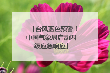 台风蓝色预警！中国气象局启动四级应急响应