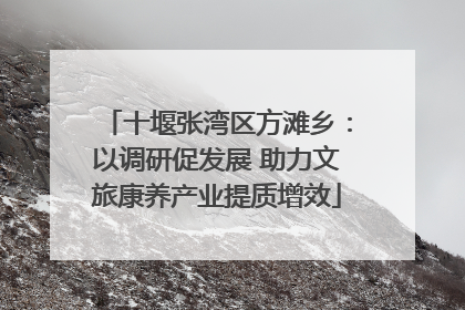 十堰张湾区方滩乡：以调研促发展 助力文旅康养产业提质增效