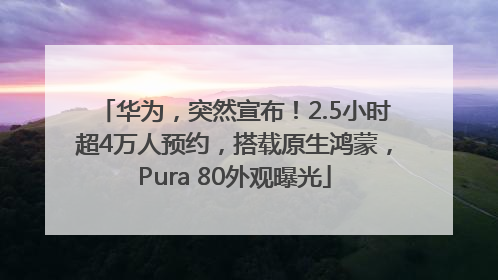 华为，突然宣布！2.5小时超4万人预约，搭载原生鸿蒙，Pura 80外观曝光