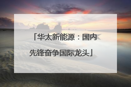 华太新能源：国内先锋奋争国际龙头