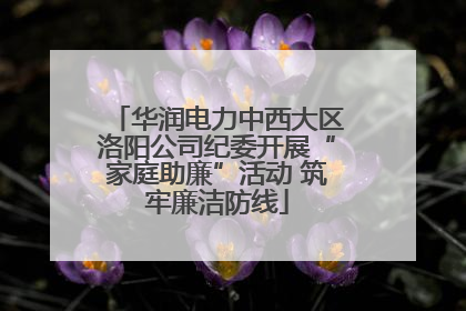 华润电力中西大区洛阳公司纪委开展“家庭助廉”活动 筑牢廉洁防线