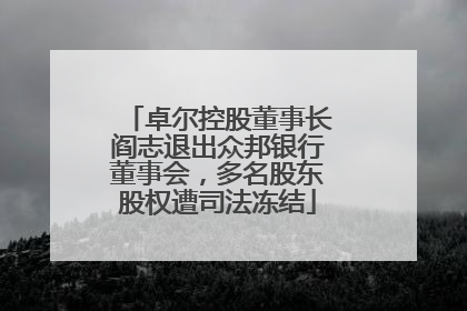 卓尔控股董事长阎志退出众邦银行董事会，多名股东股权遭司法冻结