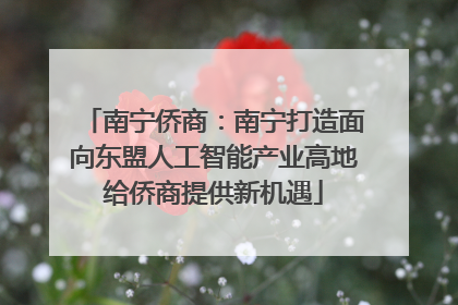南宁侨商：南宁打造面向东盟人工智能产业高地给侨商提供新机遇
