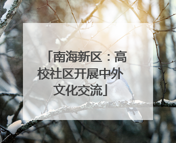 南海新区：高校社区开展中外文化交流