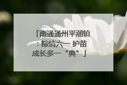 南通通州平潮镇：粽情六一 护苗成长多一“典”