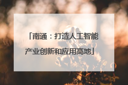 南通：打造人工智能产业创新和应用高地