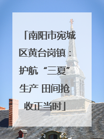 南阳市宛城区黄台岗镇：护航“三夏”生产 田间抢收正当时