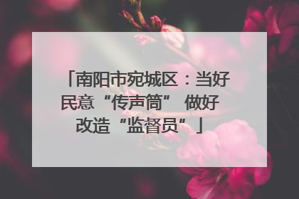 南阳市宛城区：当好民意“传声筒” 做好改造“监督员”