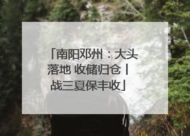 南阳邓州：大头落地 收储归仓丨战三夏保丰收