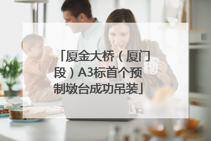 厦金大桥（厦门段）A3标首个预制墩台成功吊装