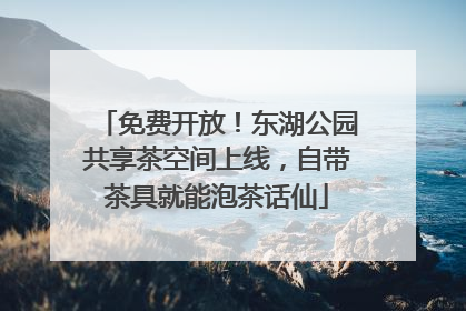 免费开放！东湖公园共享茶空间上线，自带茶具就能泡茶话仙
