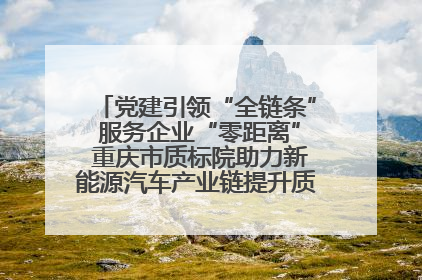 党建引领“全链条” 服务企业“零距离” 重庆市质标院助力新能源汽车产业链提升质量管理水平