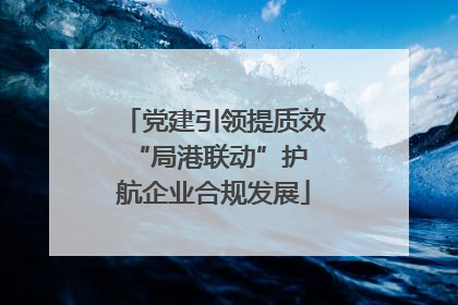 党建引领提质效 “局港联动”护航企业合规发展