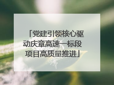 党建引领核心驱动庆章高速一标段项目高质量推进