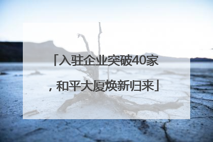入驻企业突破40家，和平大厦焕新归来