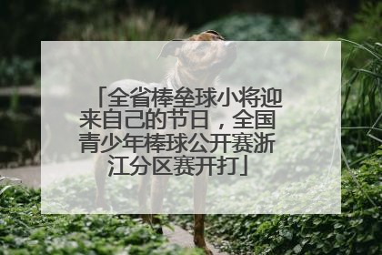 全省棒垒球小将迎来自己的节日，全国青少年棒球公开赛浙江分区赛开打